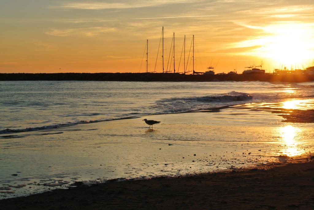 Hotel Les Palmiers En Camargue Saintes-Maries-de-la-Mer Oda fotoğraf