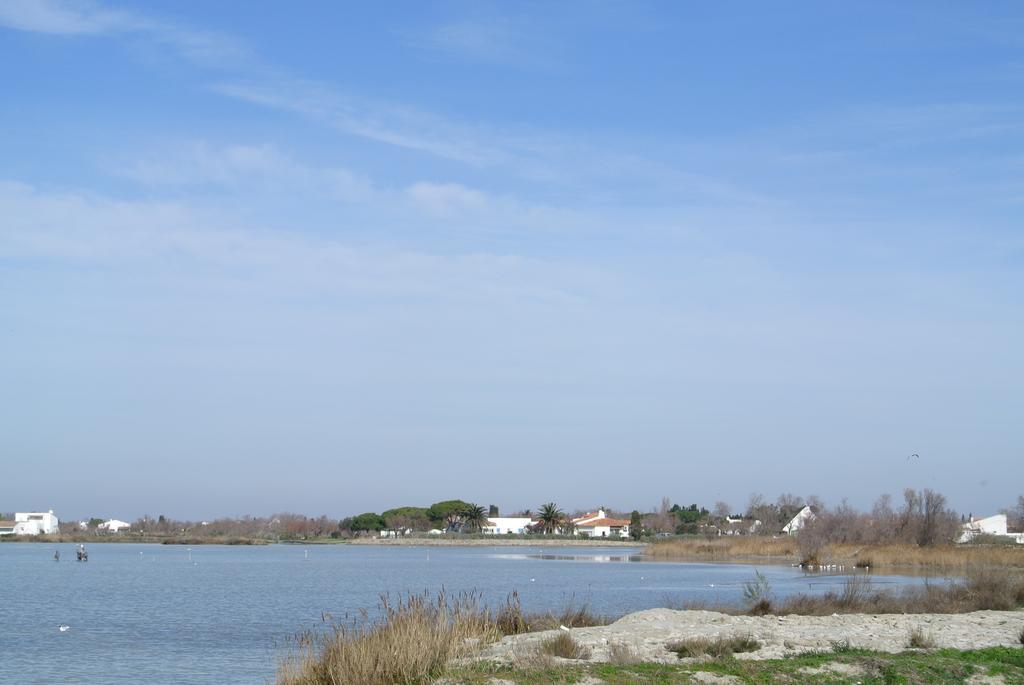 Hotel Les Palmiers En Camargue Saintes-Maries-de-la-Mer Oda fotoğraf