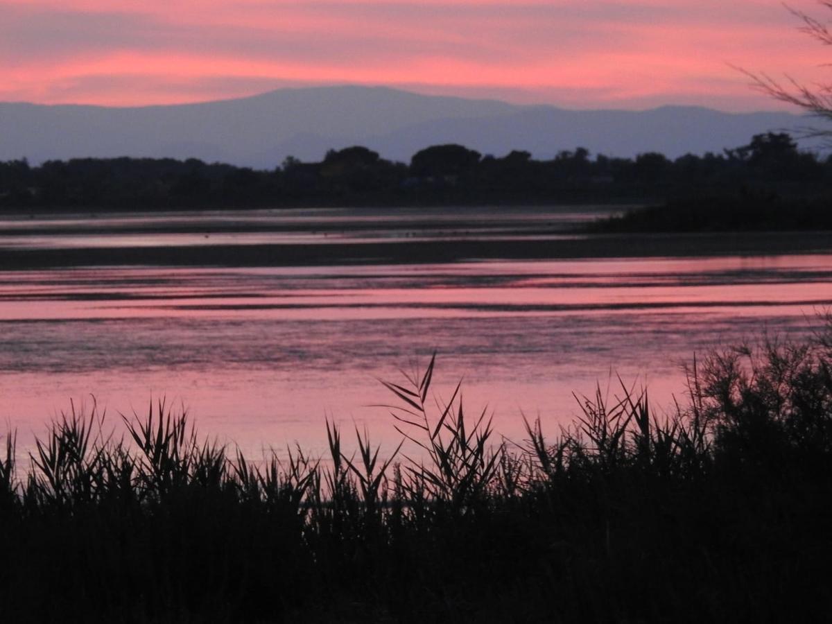 Hotel Les Palmiers En Camargue Saintes-Maries-de-la-Mer Dış mekan fotoğraf