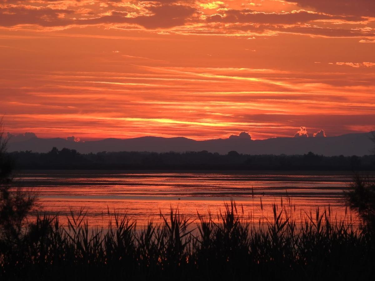 Hotel Les Palmiers En Camargue Saintes-Maries-de-la-Mer Dış mekan fotoğraf